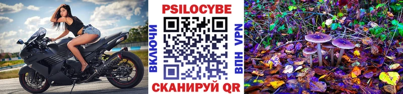 Галлюциногенные грибы GOLDEN TEACHER  где найти наркотики  Соль-Илецк 